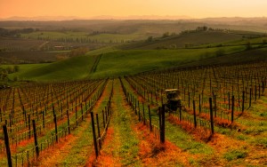 San-Casciano-in-val-di-Pesa-Tuscany-Service