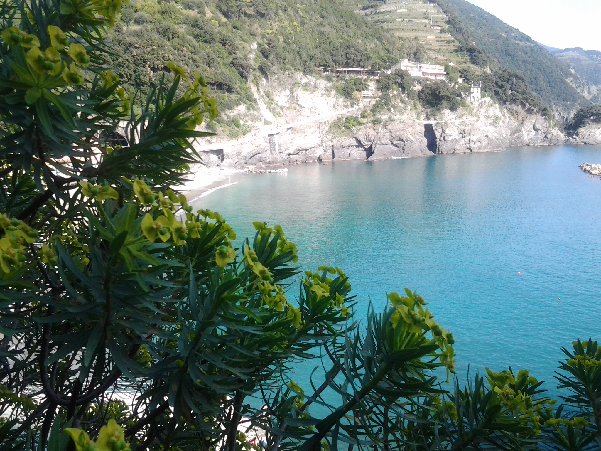 Scopri di più sull'articolo Cinqueterre autonoleggio con autista a Firenze